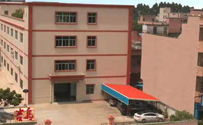 Company profile
