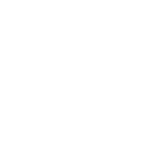 山东分公司
