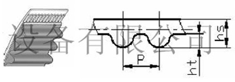 High torque timing belt