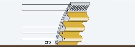 Double-sided tooth synchronous belt