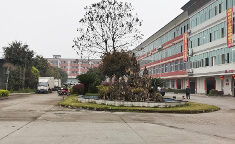 公司环境