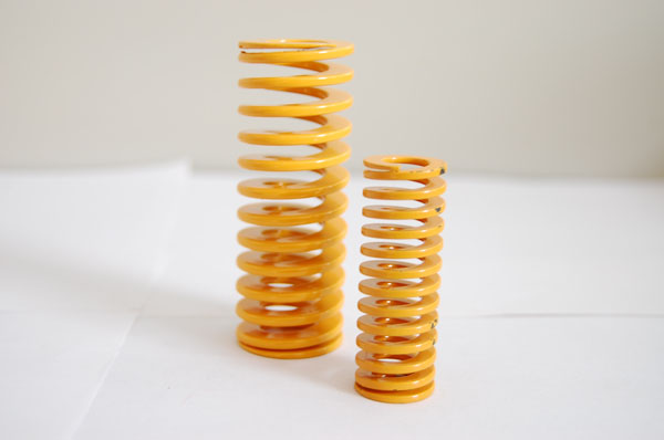 Mickey Mould Spring 