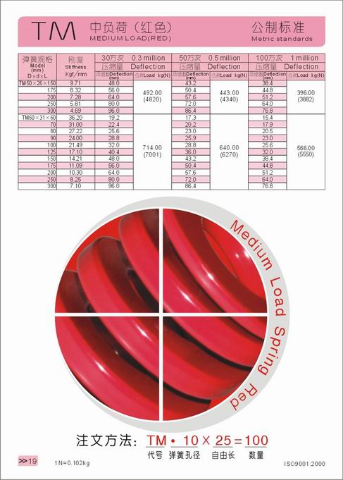 Mickey mould spring from Japan19