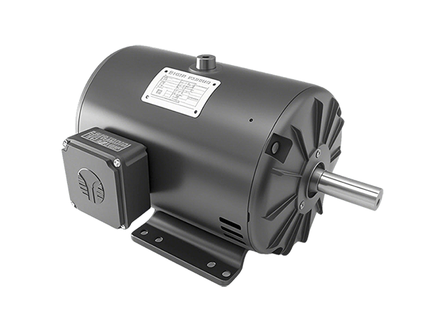 Model TXD NEMA Three-Phase Steel Sheet Housing ODP Motors