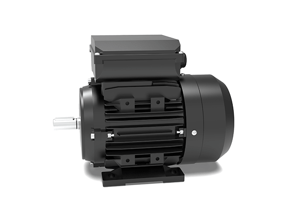 Model ML Single-Phase Capacitor Start & Run Motors