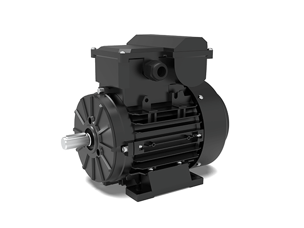 Model MY1 IE1 Efficiency Single-Phase Capacitor Start Motors