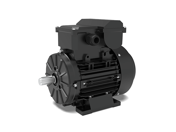 Model MYT2 IE2 Efficiency Single-Phase Capacitor Start Motors
