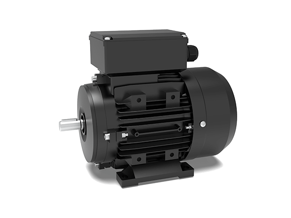 Model MY Single-Phase Capacitor Start Motors