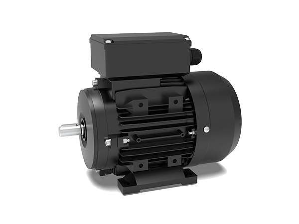 Model MYT Single-Phase Capacitor Start Motors