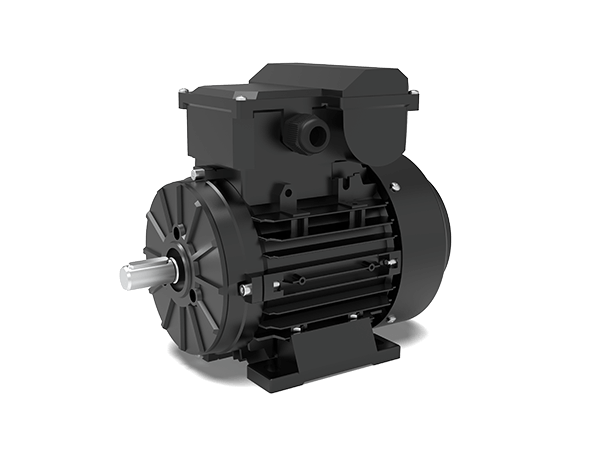 Model MYT1 IE1 Efficiency Single-Phase Capacitor Start Motors