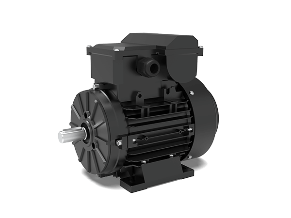 Model MY2 IE2 Efficiency Single-Phase Capacitor Start Motors