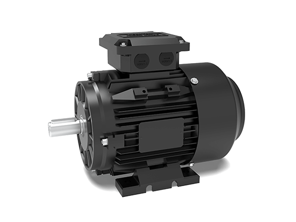 Model T3C IE3 Efficiency Cast Iron Housing Three-Phase Asynchronous Motors