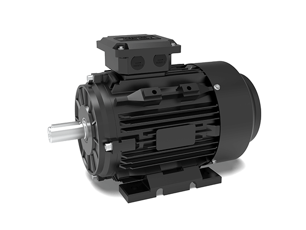 Model TCP MEPS2 (Australia) Premium Efficiency Motors