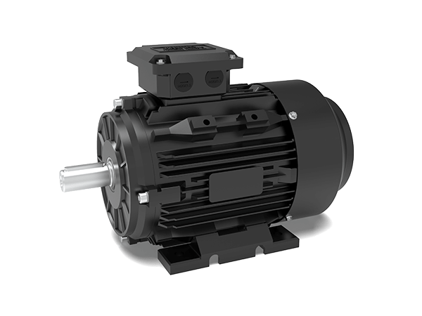 Model T4C IE4 Efficiency Cast Iron Housing Three-Phase Asynchronous Motors