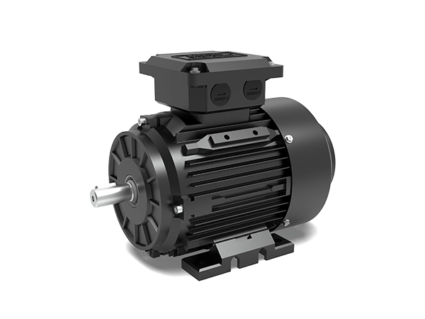 Model T2C IE2 Efficiency Cast Iron Housing Three-Phase Asynchronous Motors