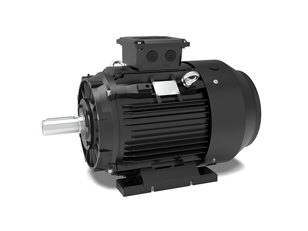 Model T5C IE5 Efficiency Cast Iron Housing Three-Phase Asynchronous Motors