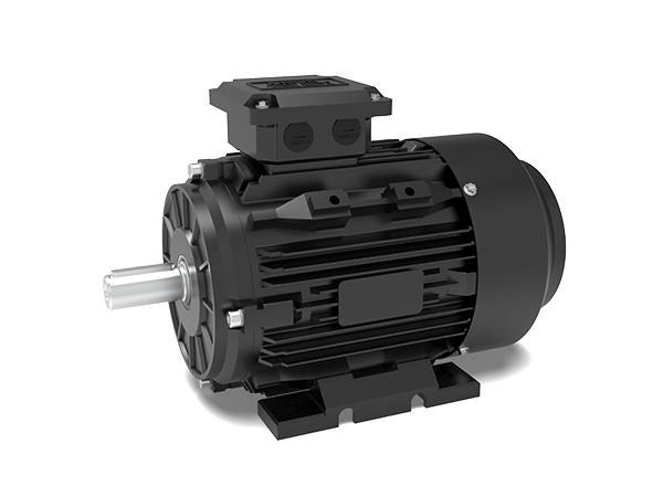 Model T1C IE1 Efficiency Cast Iron Housing Three-Phase Asynchronous Motors