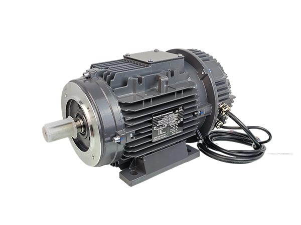 Model ECI Permanent Magnet Synchronous Motors with Drives