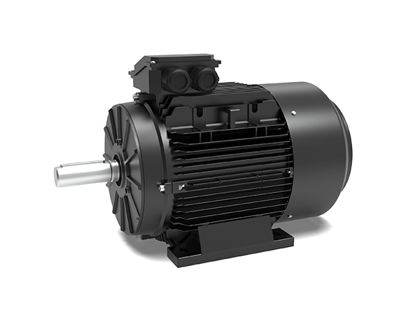 Model EC Permanent Magnet Synchronous Motors