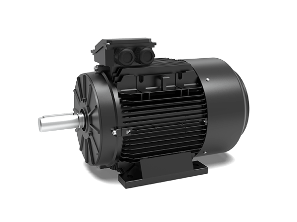 Selecting Permanent Magnet Synchronous Motors: Standards, Fit, Delivery and Long-Term Value