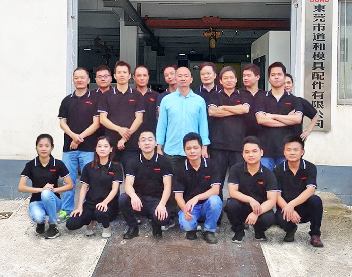 Dongguan City Daohe Mold Accessories Co., Ltd.