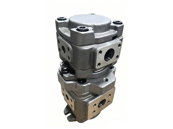Adjustable Direction Tandem Pump