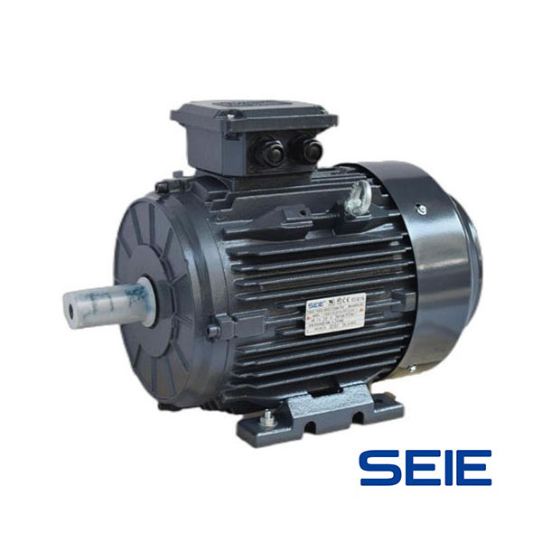 Cast iron explosion-proof motor