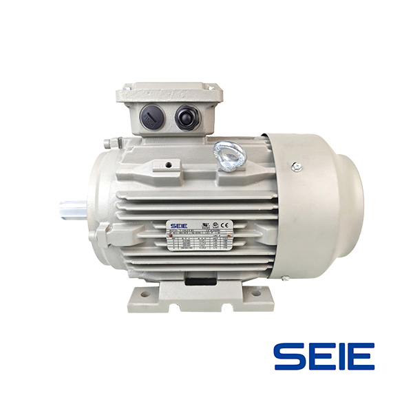 NEMA cast iron motor