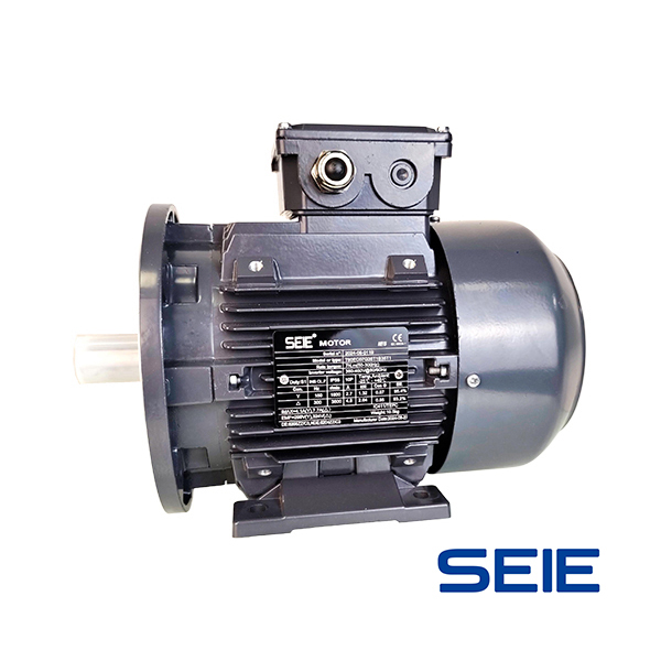 IE5 permanent magnet EC motor (standard type)
