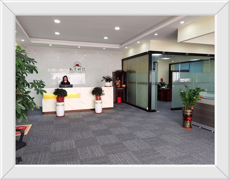 Dongguan Cayman Mould Technology CO., LTD