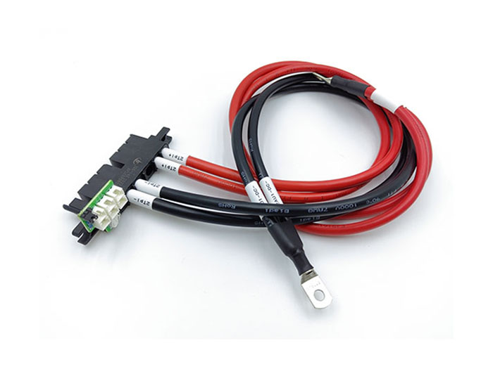 Module Output Cable