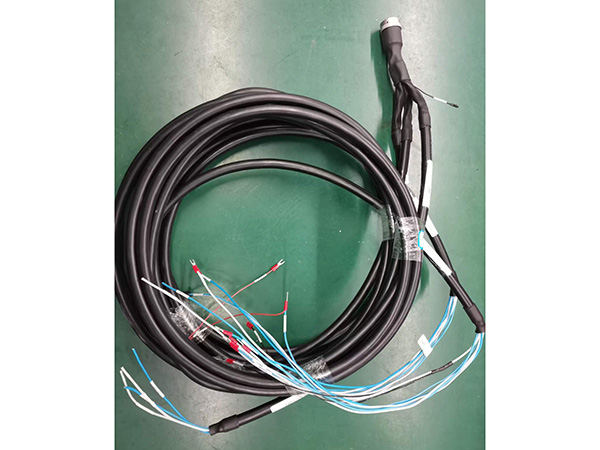 Marine Wiring Harness