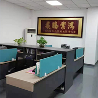 Company profile
