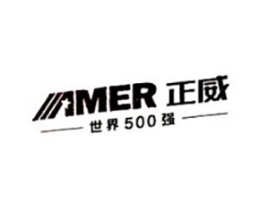 Shenzhen Zhengwei (Grupo)