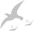 Guangdong Create Technology Co., Ltd.