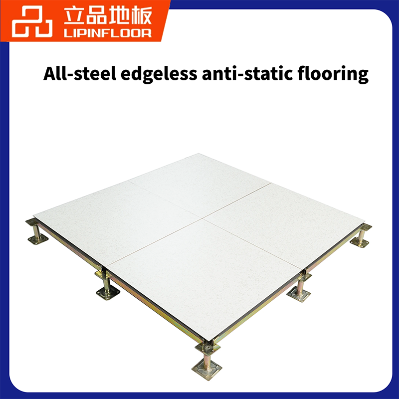 All steel borderless anti-static floor