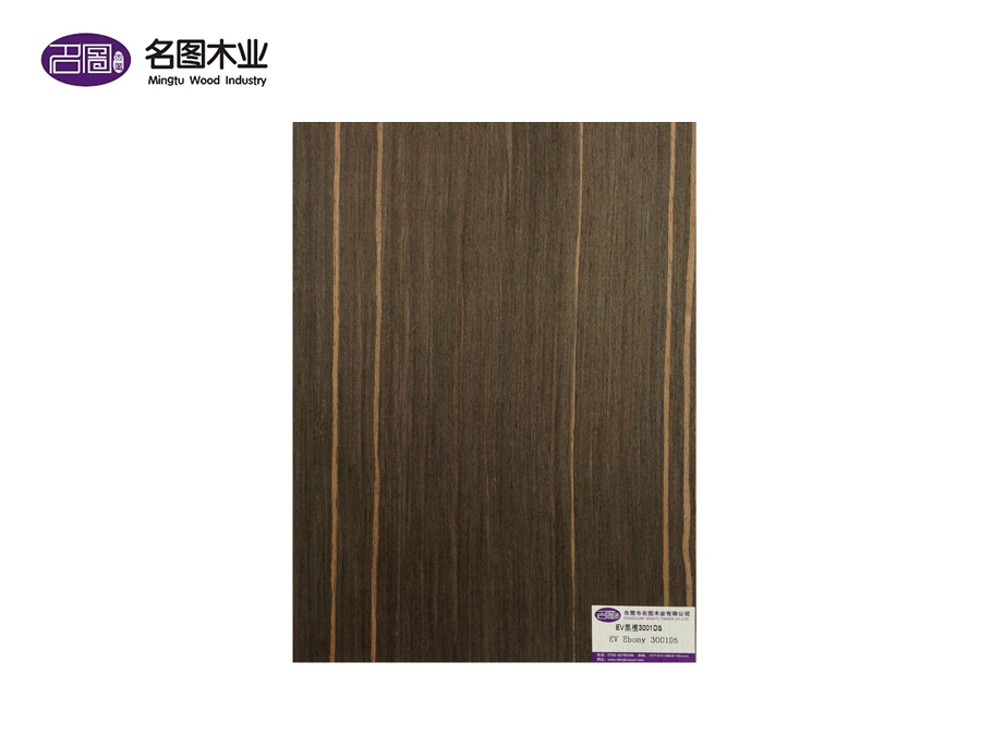 EV Ebony 3001DS
