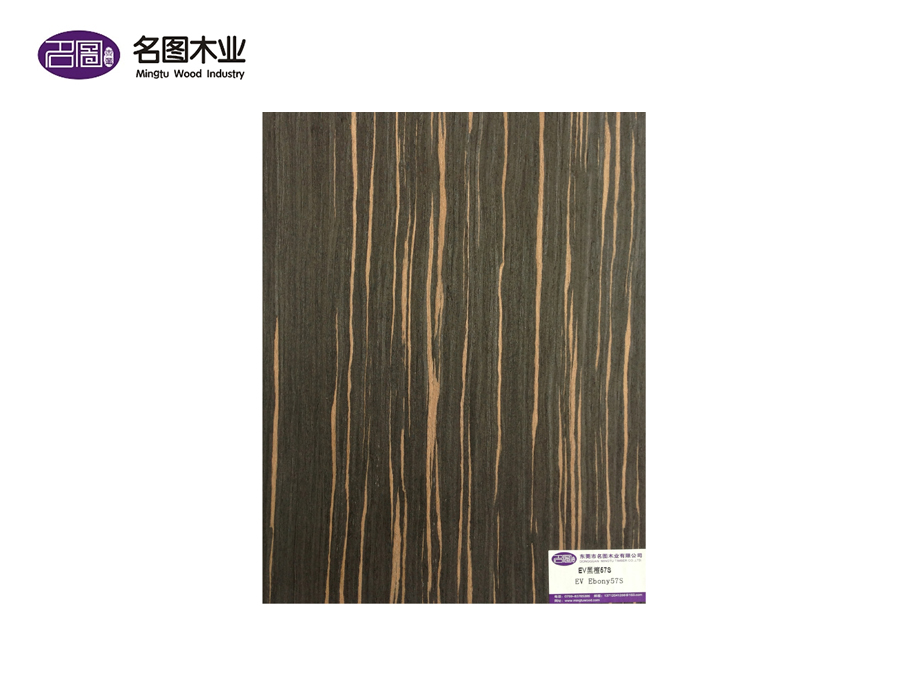 EV Ebony 57S
