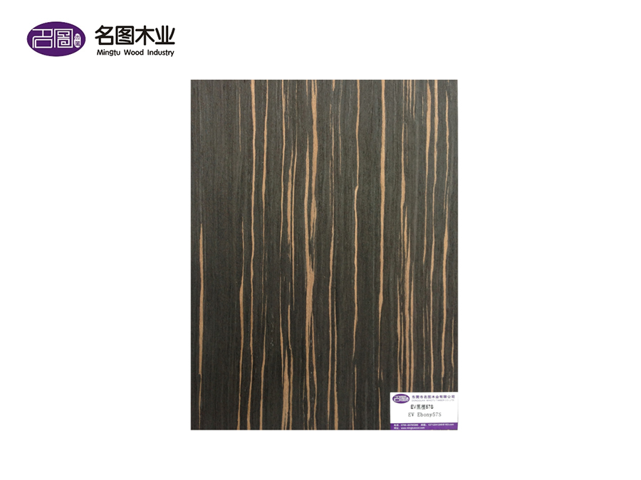EV Ebony 67S