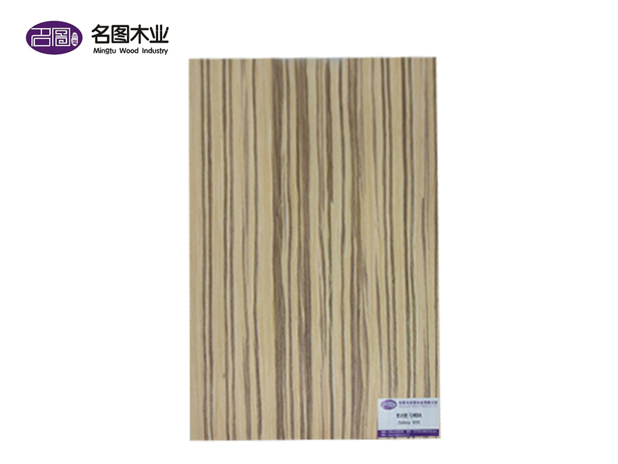 EV Zebra 9ds
