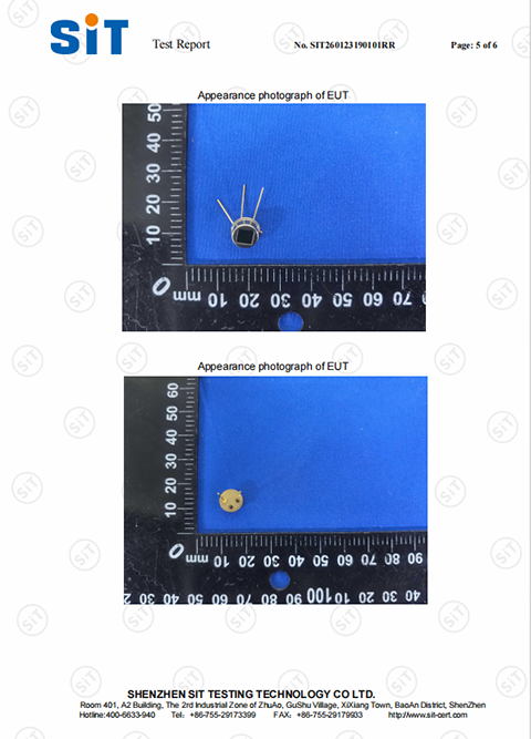 Test Report