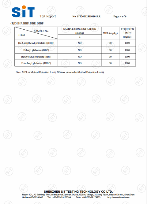 Test Report