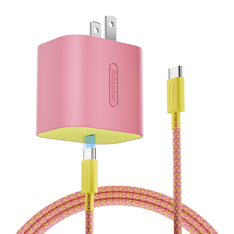 charger for  suitch2