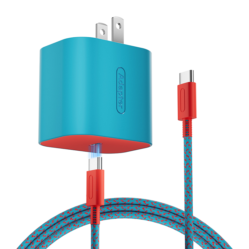 charger for  suitch2