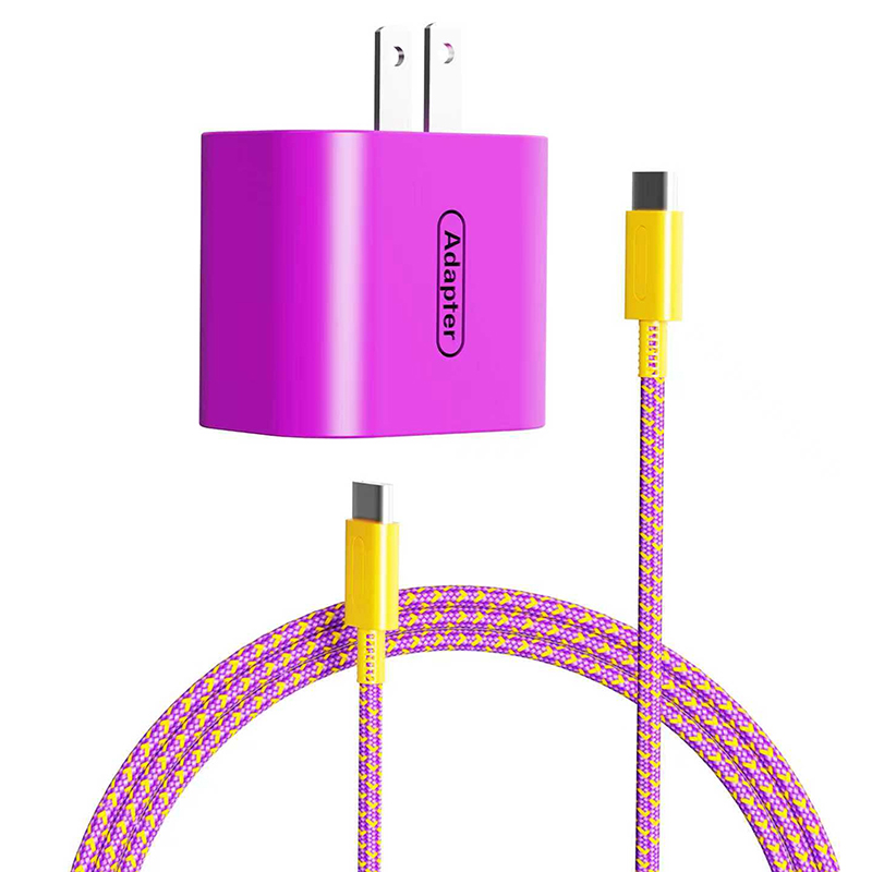 charger for  suitch2