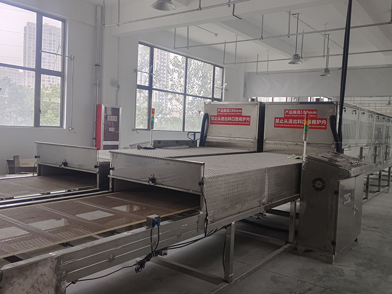 Microwave drying line