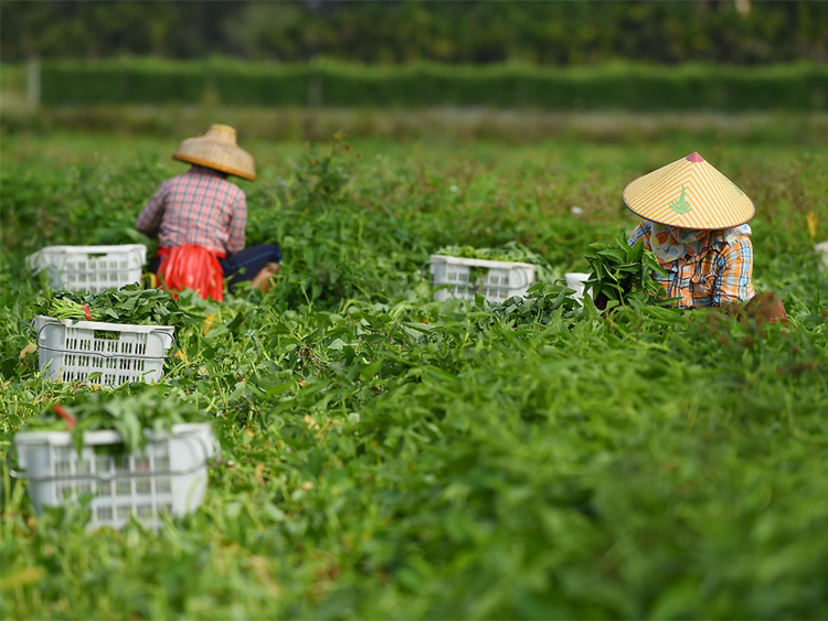 Agriculture industry application
