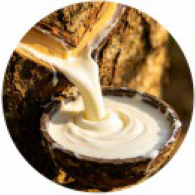 Natural Rubber