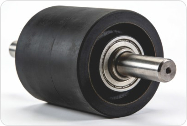 Skeleton Oil Seals