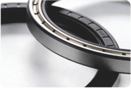 Step Seals